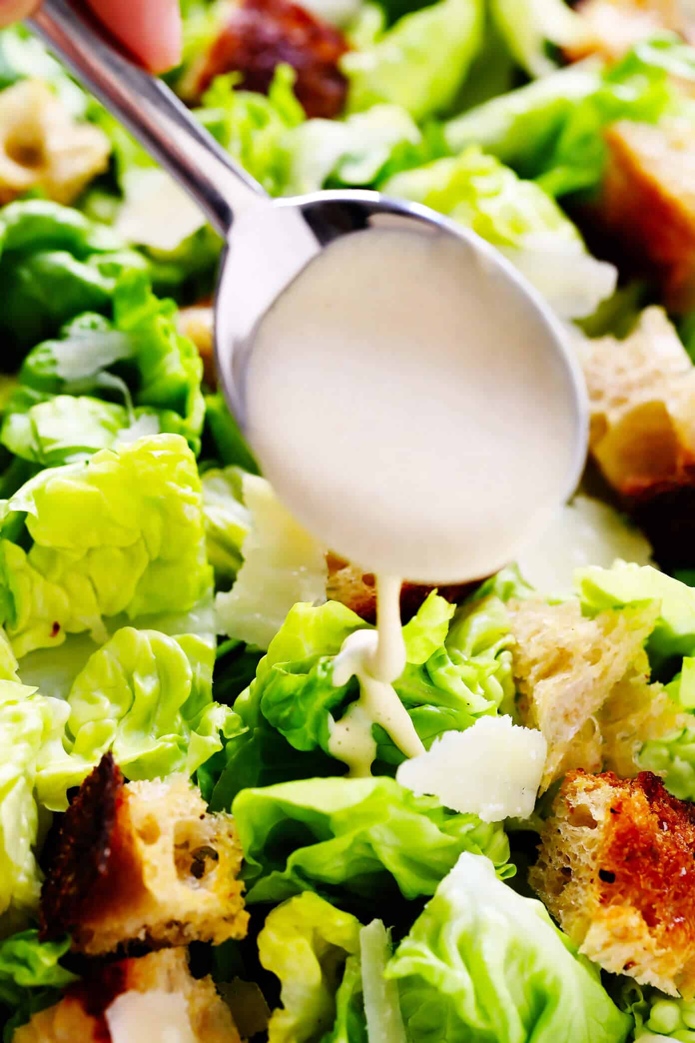 The BEST homemade Caesar salad recipe -- full of crisp lettuce, toasty sourdough croutons, lots of Parmesan cheese, and my all-time favorite homemade Caesar dressing. Feel free to add in some proteins (chicken, shrimp, salmon, etc.) or grill the lettuce too, if you would like! | gimmesomeoven.com #caesar #salad #dressing #homemade #glutenfree #healthy #summer #italian Creamy Caesar Salad Dressing Drizzle